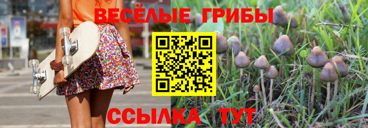 Галлюциногенные грибы Psilocybine cubensis  Галлюциногенные грибы мухоморы  Вход с VPN  Стрежевой 