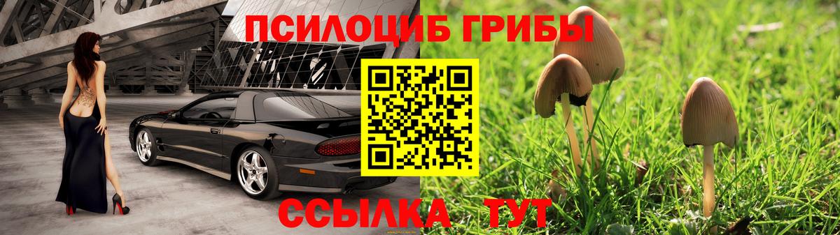 Галлюциногенные грибы Psilocybe Стрежевой